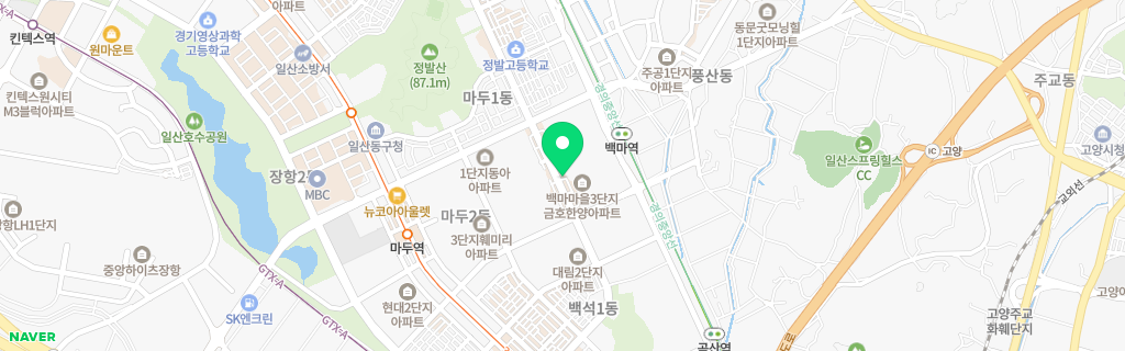 고양 마두 네이버 지도