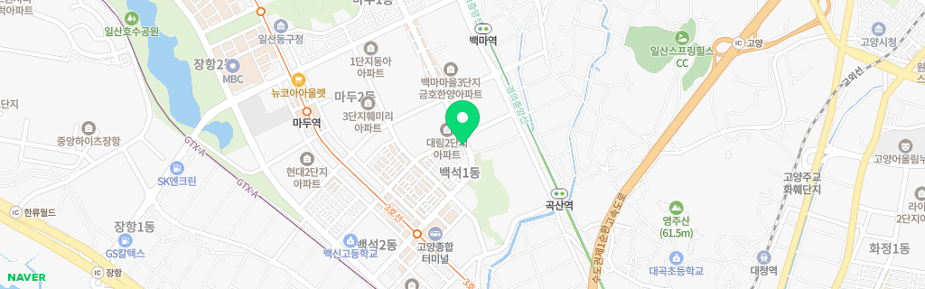 고양 백석 네이버 지도