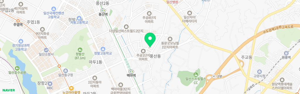 고양 풍산 네이버 지도