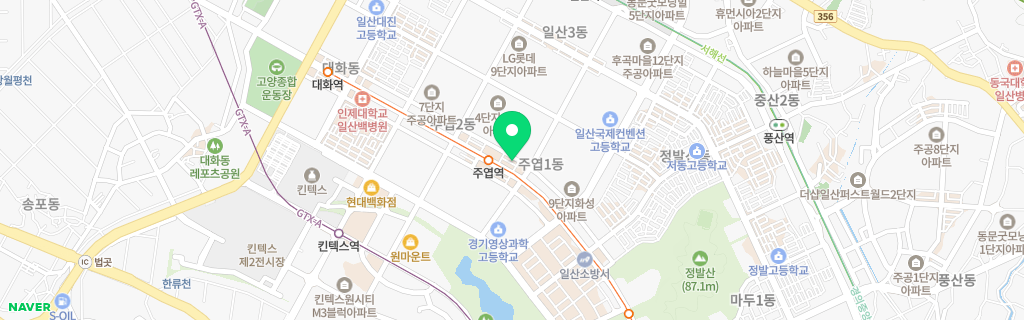 고양 주엽 네이버 지도