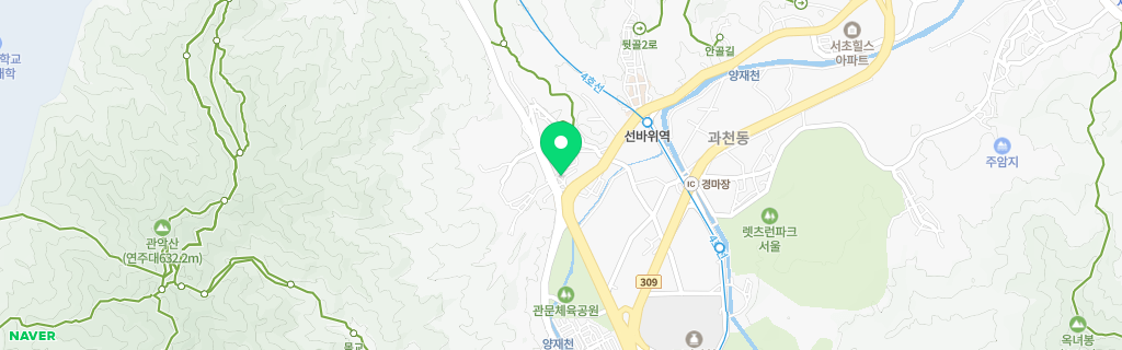 과천 과천 네이버 지도