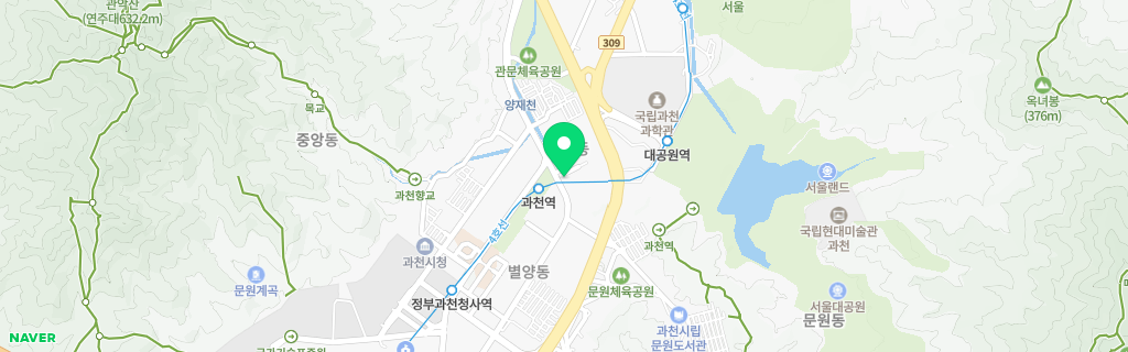과천 부림 네이버 지도