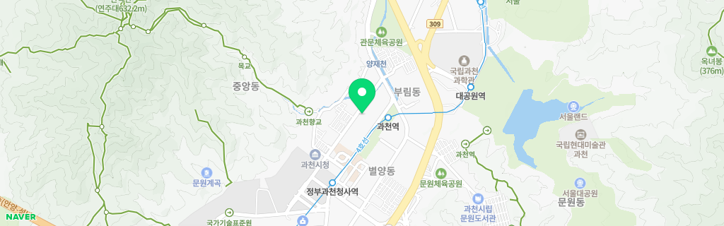 과천 중앙 네이버 지도