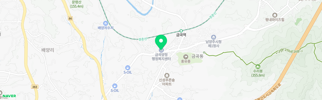 남양주 금곡 네이버 지도