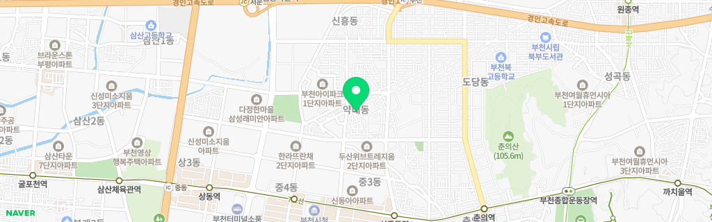 부천 약대 네이버 지도