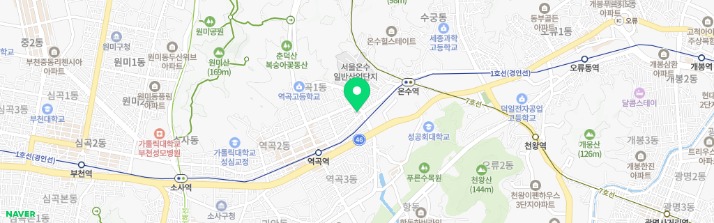 부천 역곡 네이버 지도