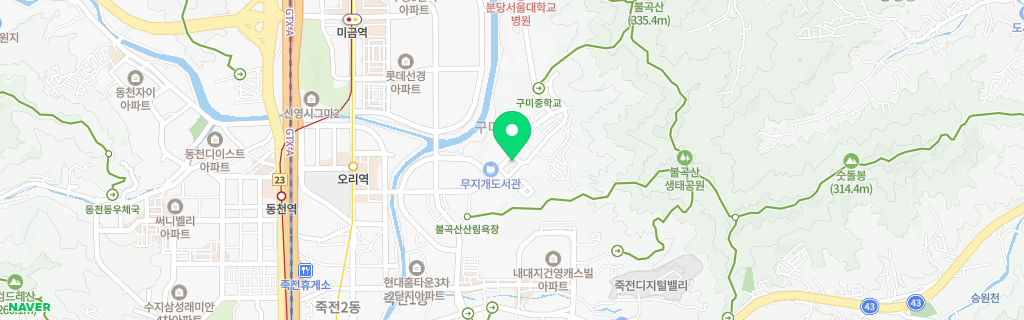 성남 구미 네이버 지도