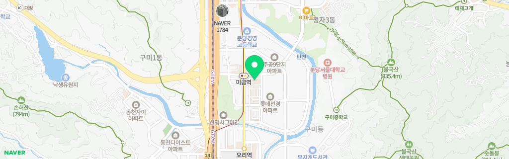 성남 금곡 네이버 지도