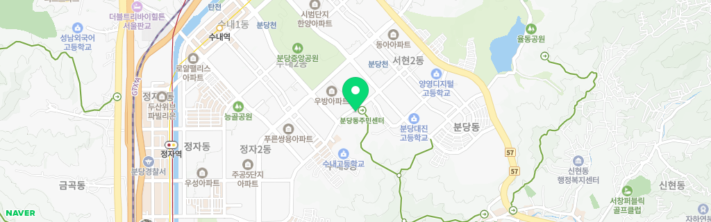 성남 분당 네이버 지도