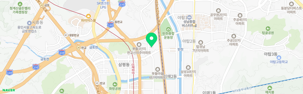 성남 삼평 네이버 지도