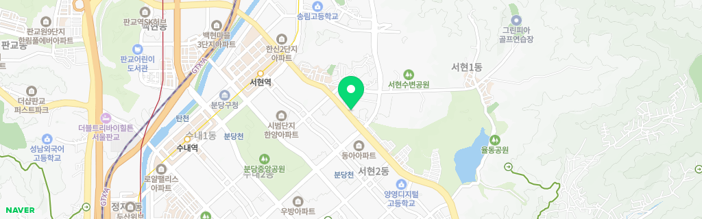 성남 서현 네이버 지도