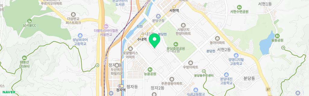 성남 수내 네이버 지도