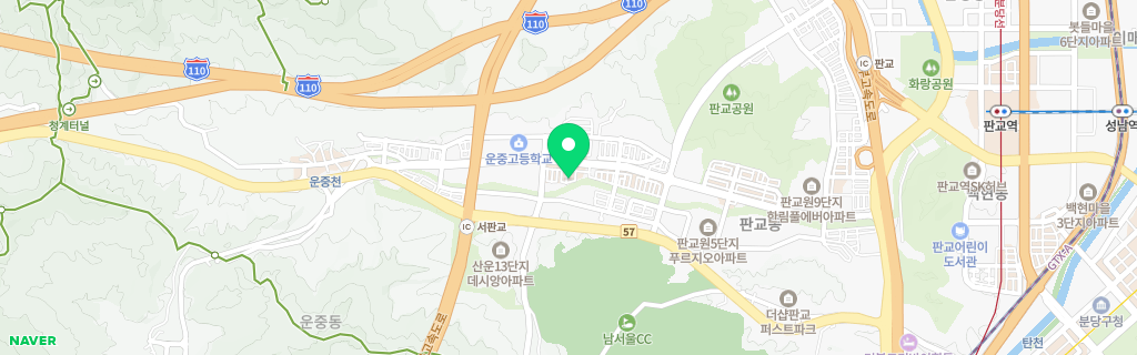 성남 운중 네이버 지도