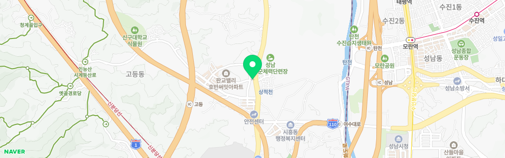 성남 고등 네이버 지도