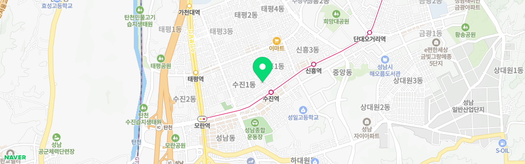 성남 수진 네이버 지도