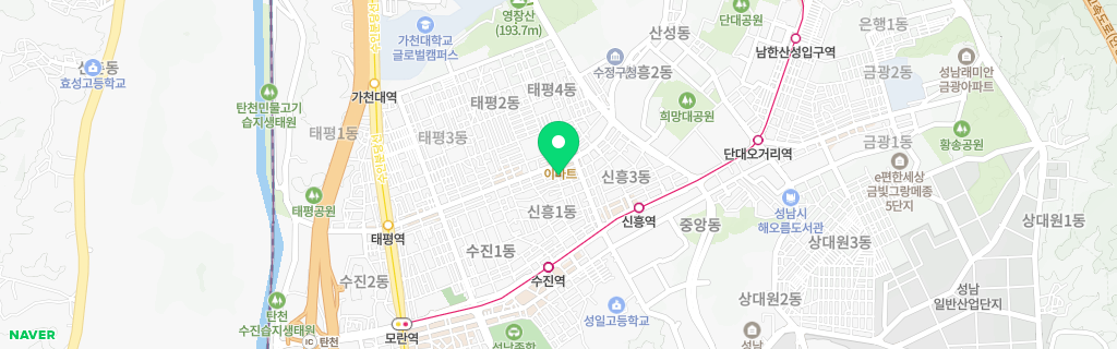 성남 신흥 네이버 지도