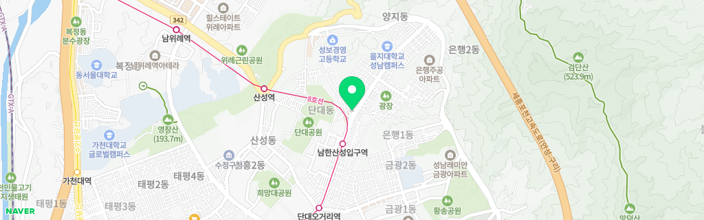 성남 양지 네이버 지도