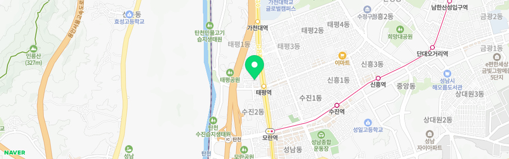 성남 태평 네이버 지도