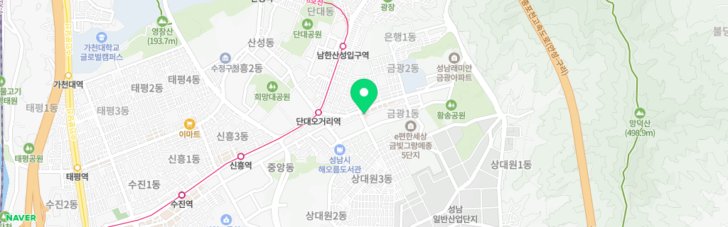 성남 금광 네이버 지도