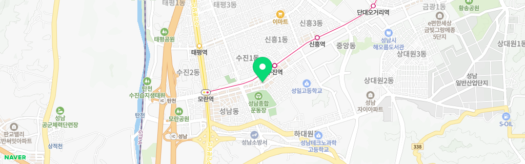 성남 성남 네이버 지도