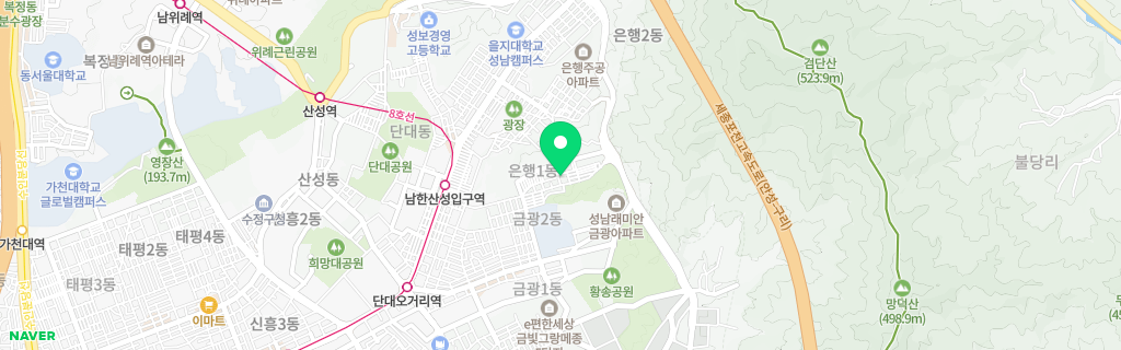 성남 은행 네이버 지도