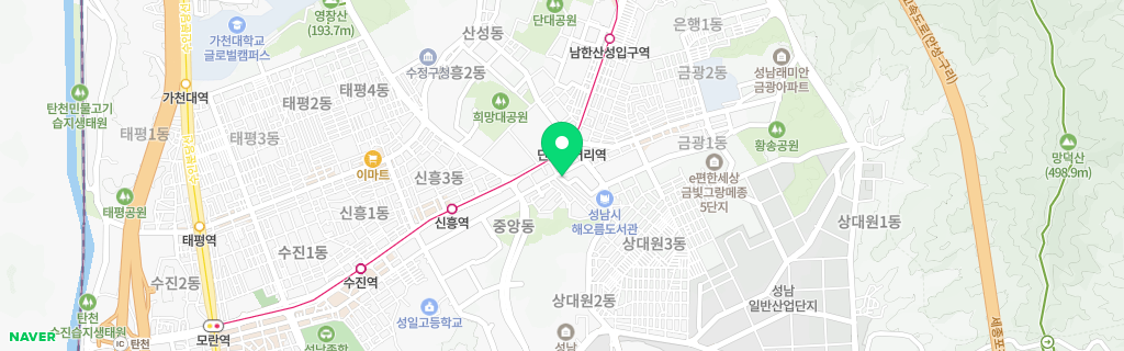 성남 중앙 네이버 지도