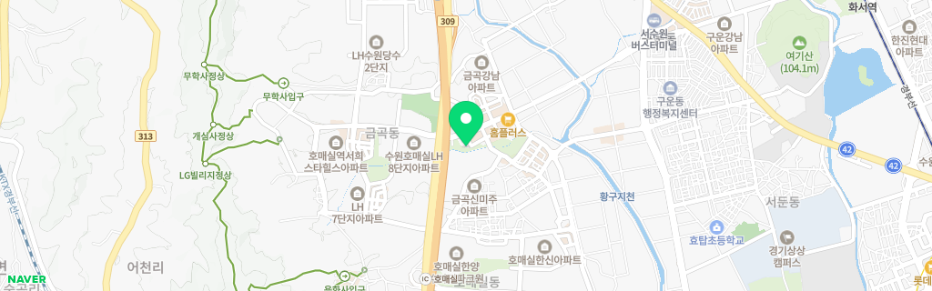수원 금곡 네이버 지도
