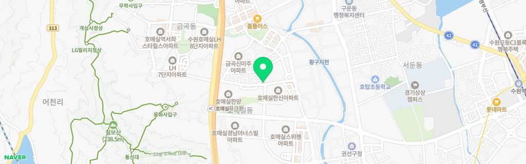 수원 호매실 네이버 지도