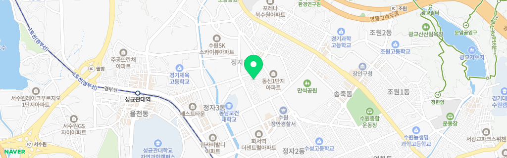 수원 정자 네이버 지도
