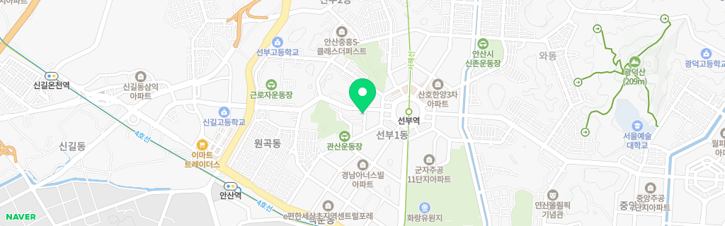 안산 선부 네이버 지도