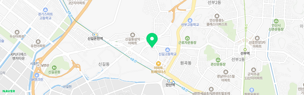 안산 신길 네이버 지도