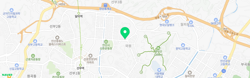 안산 와동 네이버 지도