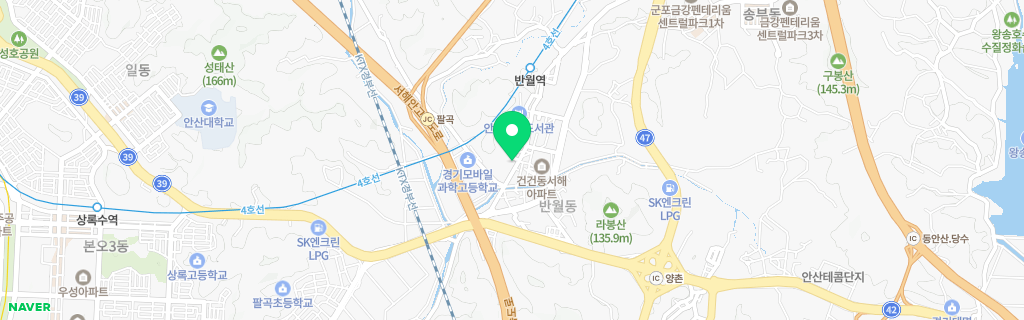 안산 반월 네이버 지도