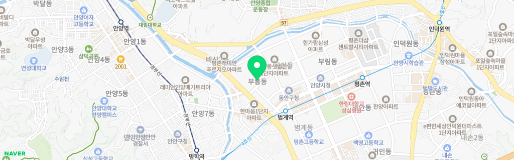 안양 부흥 네이버 지도