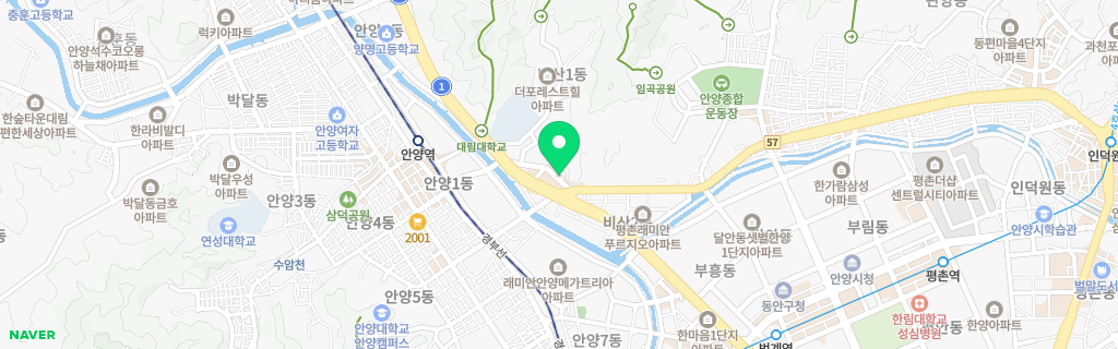 안양 비산 네이버 지도