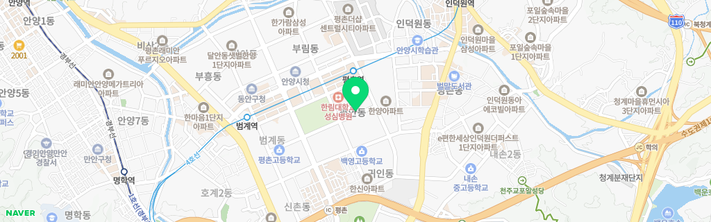 안양 평안 네이버 지도