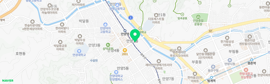 안양 안양 네이버 지도