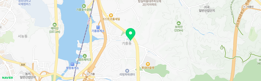 용인 기흥 네이버 지도