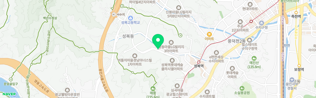 용인 성복 네이버 지도