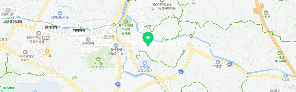 용인 동부 네이버 지도