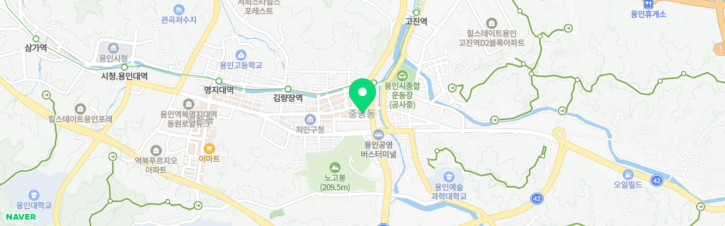 용인 중앙 네이버 지도