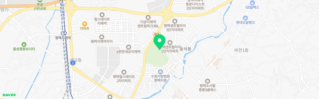 평택 동삭 네이버 지도