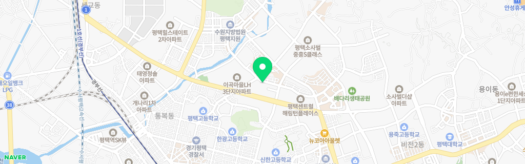 평택 비전 네이버 지도