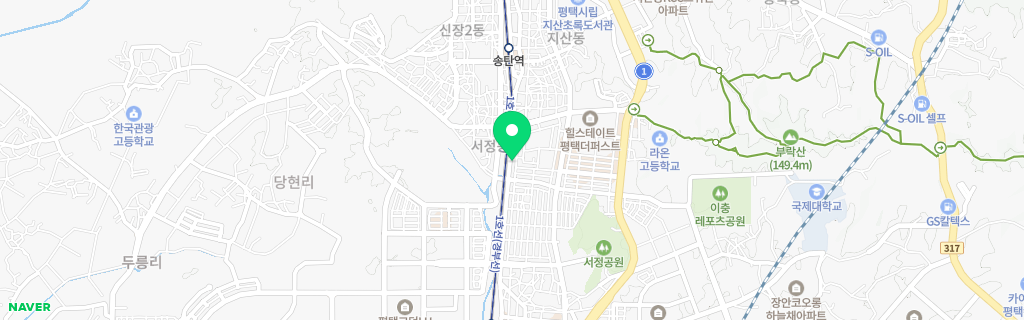 평택 서정 네이버 지도