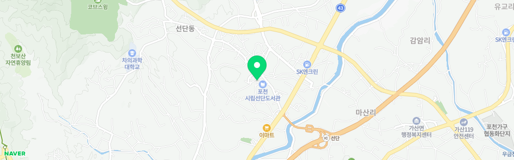 포천 선단 네이버 지도