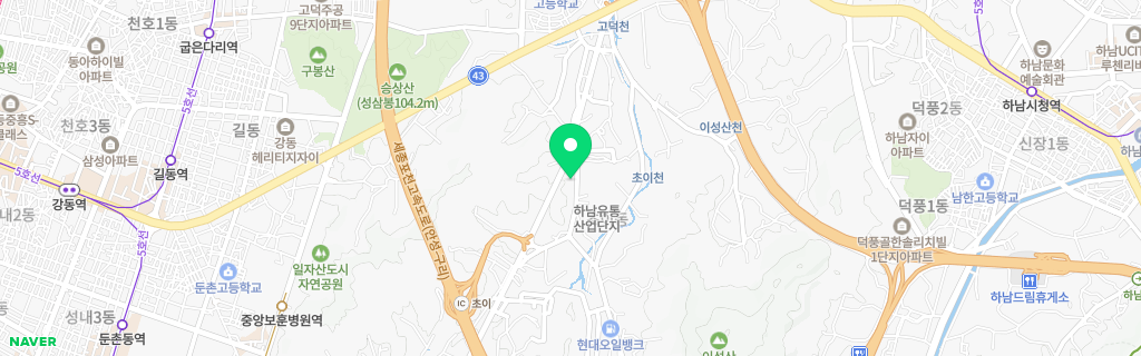 하남 초이 네이버 지도