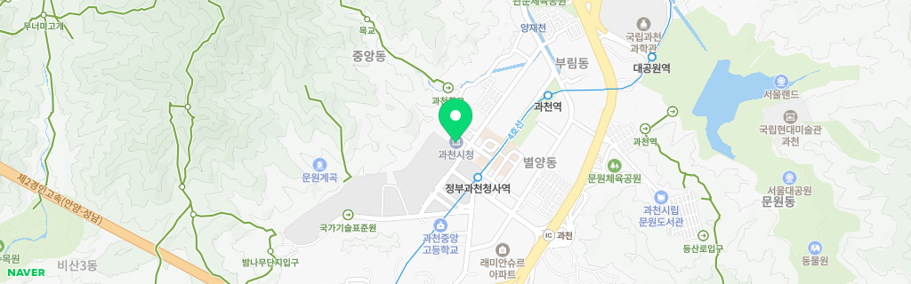 경기 과천시 네이버 지도