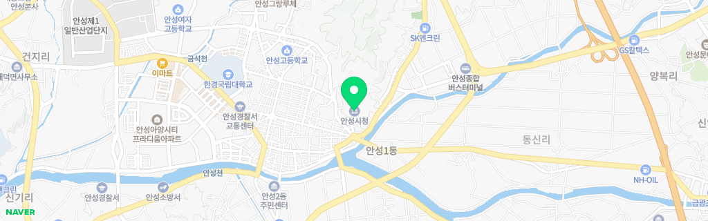 경기 안성시 네이버 지도