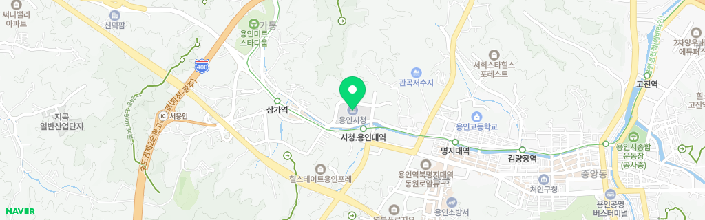 경기 용인시 네이버 지도