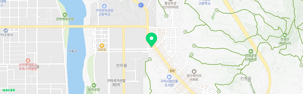 구미 진미 네이버 지도